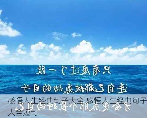 感悟人生经典句子大全,感悟人生经典句子大全短句