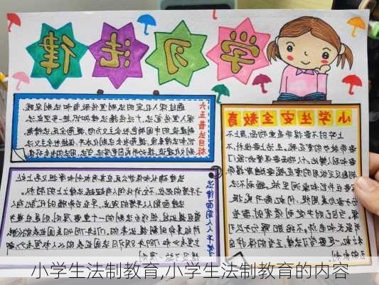 小学生法制教育,小学生法制教育的内容