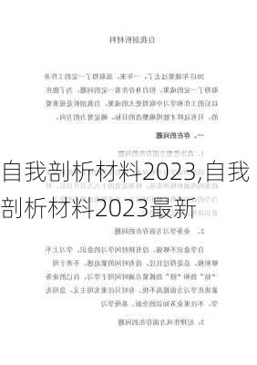 自我剖析材料2023,自我剖析材料2023最新