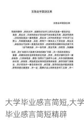 大学毕业感言简短,大学毕业感言简短精辟