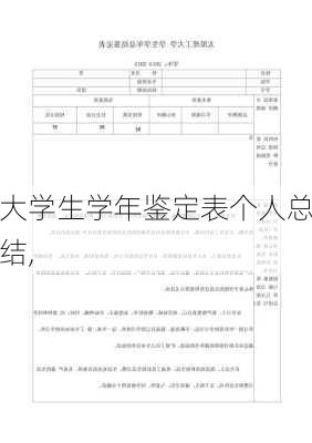 大学生学年鉴定表个人总结,