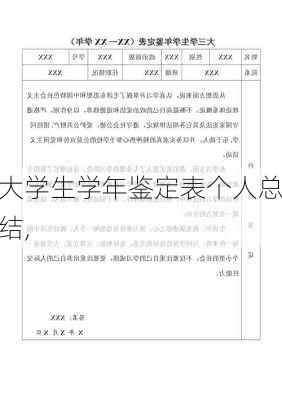 大学生学年鉴定表个人总结,