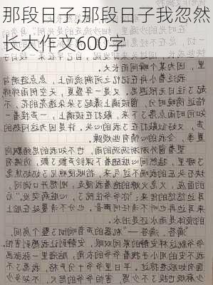 那段日子,那段日子我忽然长大作文600字