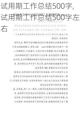 试用期工作总结500字,试用期工作总结500字左右