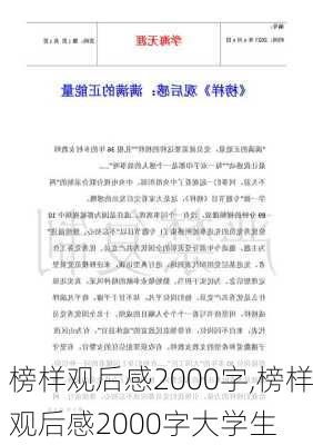 榜样观后感2000字,榜样观后感2000字大学生