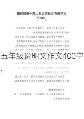 五年级说明文作文400字,