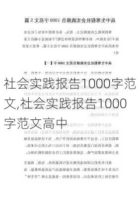 社会实践报告1000字范文,社会实践报告1000字范文高中