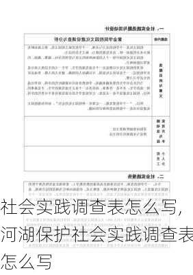 社会实践调查表怎么写,河湖保护社会实践调查表怎么写