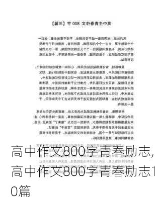 高中作文800字青春励志,高中作文800字青春励志10篇