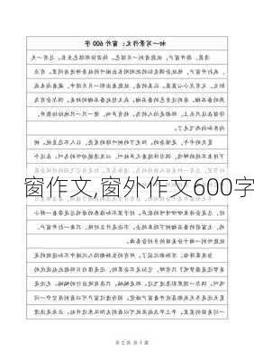 窗作文,窗外作文600字