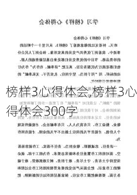 榜样3心得体会,榜样3心得体会300字