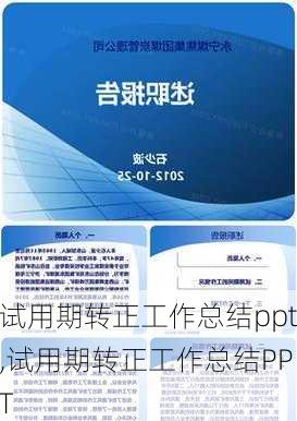 试用期转正工作总结ppt,试用期转正工作总结PPT