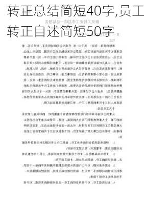 转正总结简短40字,员工转正自述简短50字