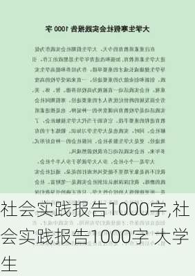 社会实践报告1000字,社会实践报告1000字 大学生