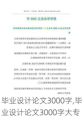 毕业设计论文3000字,毕业设计论文3000字大专