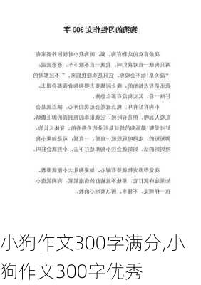 小狗作文300字满分,小狗作文300字优秀