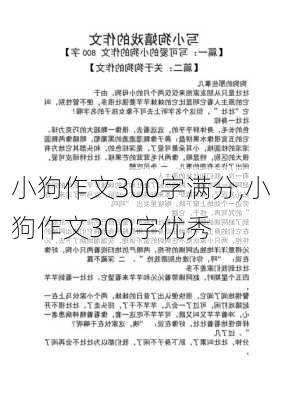 小狗作文300字满分,小狗作文300字优秀