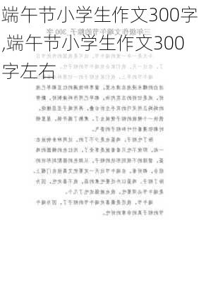 端午节小学生作文300字,端午节小学生作文300字左右