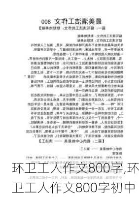 环卫工人作文800字,环卫工人作文800字初中