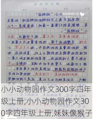 小小动物园作文300字四年级上册,小小动物园作文300字四年级上册,妹妹像猴子