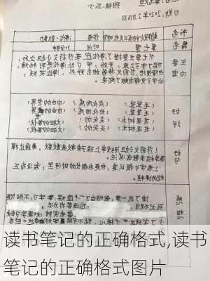 读书笔记的正确格式,读书笔记的正确格式图片