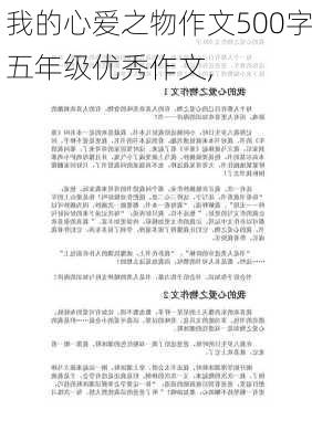 我的心爱之物作文500字五年级优秀作文,