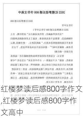 红楼梦读后感800字作文,红楼梦读后感800字作文高中