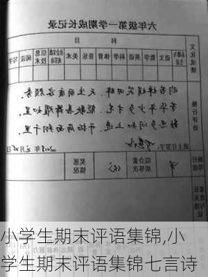 小学生期末评语集锦,小学生期末评语集锦七言诗