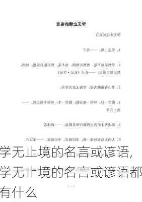 学无止境的名言或谚语,学无止境的名言或谚语都有什么