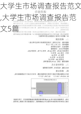 大学生市场调查报告范文,大学生市场调查报告范文5篇