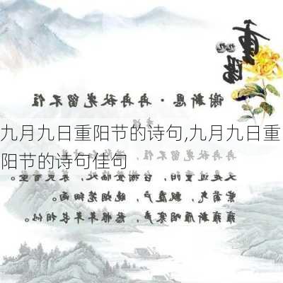 九月九日重阳节的诗句,九月九日重阳节的诗句佳句