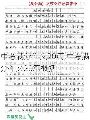 中考满分作文20篇,中考满分作文20篇概括