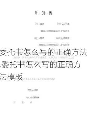 委托书怎么写的正确方法,委托书怎么写的正确方法模板