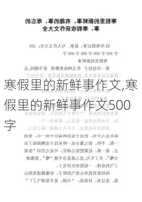 寒假里的新鲜事作文,寒假里的新鲜事作文500字