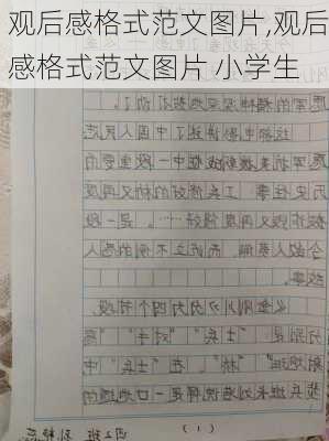 观后感格式范文图片,观后感格式范文图片 小学生