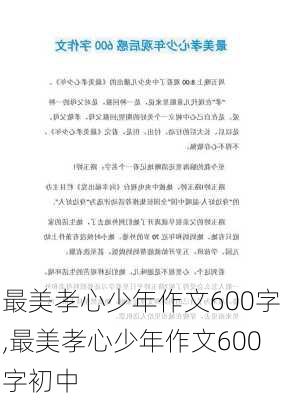 最美孝心少年作文600字,最美孝心少年作文600字初中