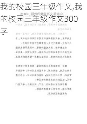 我的校园三年级作文,我的校园三年级作文300字