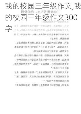 我的校园三年级作文,我的校园三年级作文300字