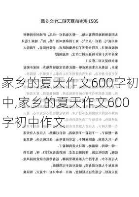 家乡的夏天作文600字初中,家乡的夏天作文600字初中作文