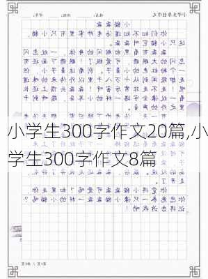 小学生300字作文20篇,小学生300字作文8篇