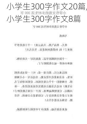 小学生300字作文20篇,小学生300字作文8篇