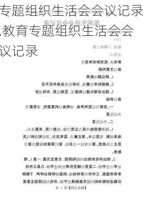 专题组织生活会会议记录,教育专题组织生活会会议记录