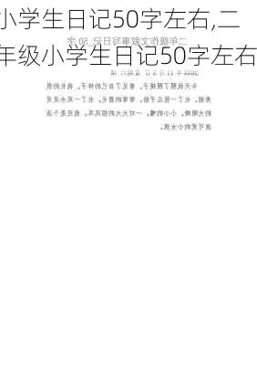 小学生日记50字左右,二年级小学生日记50字左右