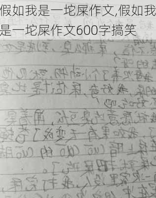 假如我是一坨屎作文,假如我是一坨屎作文600字搞笑