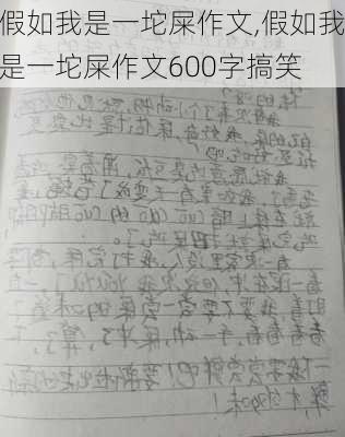 假如我是一坨屎作文,假如我是一坨屎作文600字搞笑