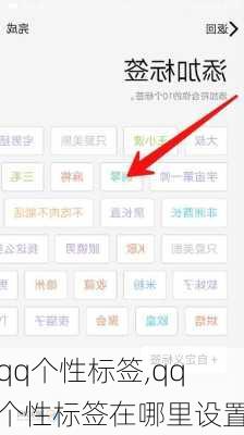 qq个性标签,qq个性标签在哪里设置