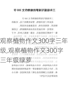 观察植物作文300字三年级,观察植物作文300字三年级绿萝