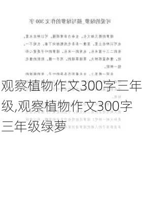 观察植物作文300字三年级,观察植物作文300字三年级绿萝