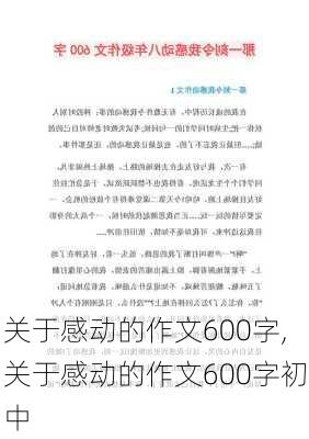 关于感动的作文600字,关于感动的作文600字初中