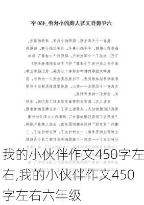 我的小伙伴作文450字左右,我的小伙伴作文450字左右六年级